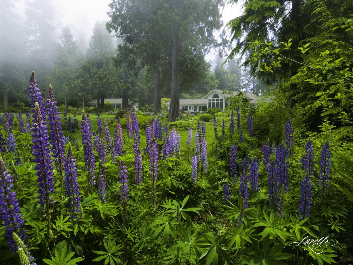 Colette'S Bed & Breakfast Port Angeles Exterior photo